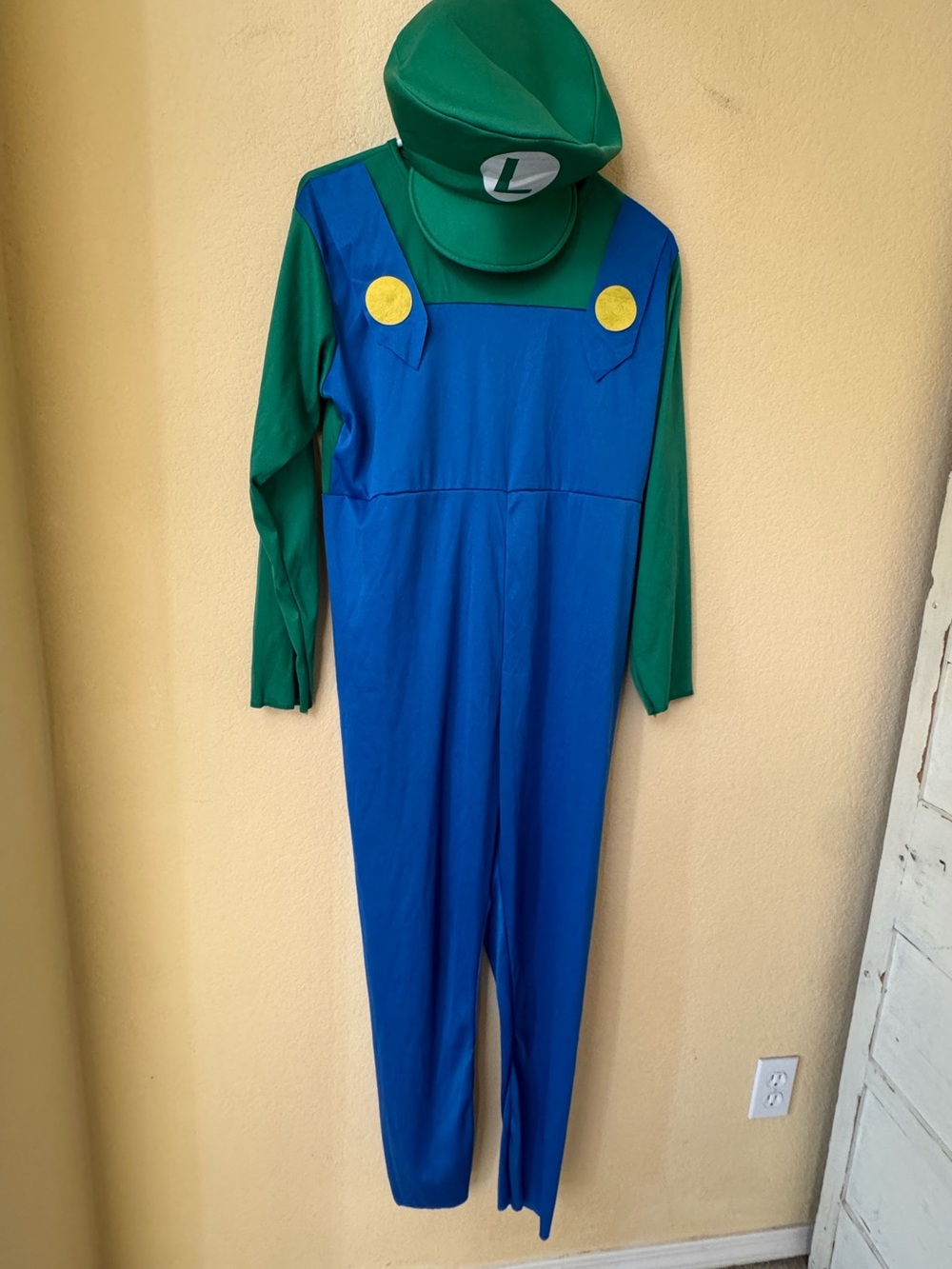 Mario Bros. Luigi Costume Adult Size Small